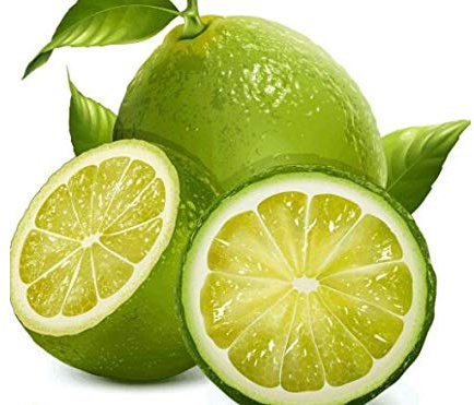 Bloom Green Co. 50 Nani Seeds Semilla de limonero - pianta da giardino, giardino domestico di DIY bonsai, fragrante: 8
