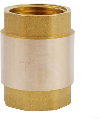 Entgoinggo Clapet anti-retour vertical en laiton, G 1/2, 3/4 1, DN15/DN20/DN25 filetage femelle en laiton massif pour eau, huile, vapeur, autres médias (2,5 cm)