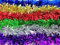 YLAB - 6 Strands of Christmas Tinsel - 2 Meters each Strand (Multi Coloured)