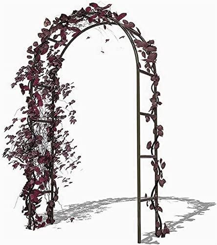 Arche Jardin Aluminium Largeur, Arche À Rosiers Métal, Filet À Plantes Grimpantes, Filet de Treillis, pour Récolte de Concombres, Légume, Vignes, Plantes Grimpantes,W1.8mxH2.2m