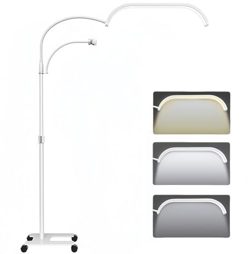 Lámpara de pie LED, lámpara cosmética para pestañas, lámparo de 55-70 pulgadas con soporte para teléfono, luz ajustable 3-6000 K