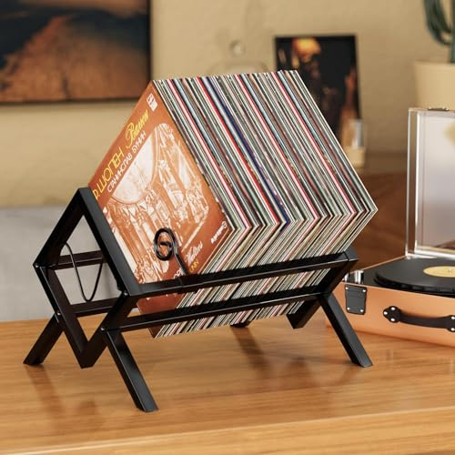 JANE EYRE Schallplattenständer - 80-100 LP Metallplattenständer Vinyl Halter Album Audio CD Display für Wohnzimmer, Büro, Spielzimmer und Studie, Schwarz