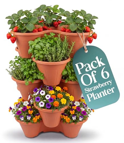 Klass Home Collection Stackable Strawberry Planter Tower Pack of 6, Vertical Garden Planters outdoor & Indoor for Balcony, Patio, Plant Pots for Flowers, Vegetables Herb Garden Planter (Terracotta)