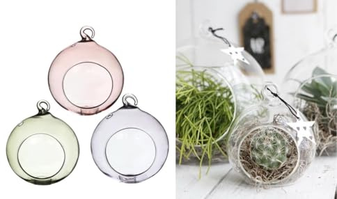 NaDeco Hängende Glaskugel Vase im Set mit 3 Stück (Grün, Lila, Pink), wählbar in 2 Größen | Sukkulenten Glas | Terrarium Glas | Tillandsia Glas | Flower Air | Pflanzgefäß | Teelichtglas, Größe:Ø 8cm