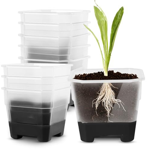 Vaso per piante per vivai, piccolo vaso per orchidee, in plastica, trasparente, quadrato, per piante, per la scuola materna, riutilizzabile, per fiori (nero)