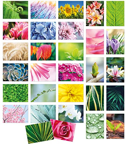 Einladungskarten Manufaktur Hamburg Modernes Design Postkarten Set 30 Karten mit Umschlag, Natur und Blumen Motive, Natur-Karten Sammler Collage Karten