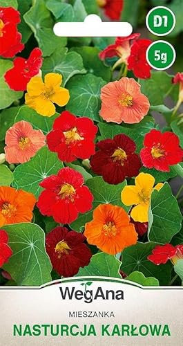 WegAna Miscela di semi di nasturzio nano basso 5g Vari colori Piante poco esigenti Piante da giardino Piante da balcone Piante da pascolo per api Fiori Semi da giardino da balcone