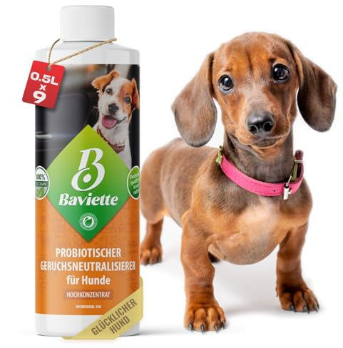 Baviette Konzentrat 500ml – Geruchsneutralisierer für Hundehaushalte – mit natürlichen Mikroorganismen – geruchlos, chlorfrei & materialschonend – geeignet für Textilien, Möbel, Teppiche & Auto
