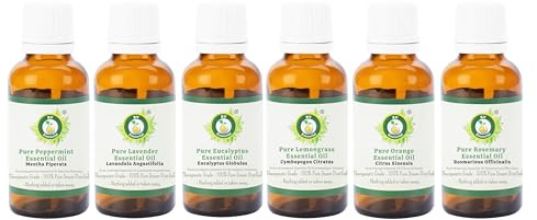 Pack de 6 aceites esenciales de menta, lavanda, eucalipto, limoncillo, naranja, romero, 100% puro, natural, para aromaterapia, spa, relajación, piel, cabello, velas aromáticas, juego de regalo, 10 ml