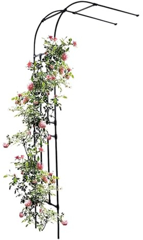 Arche de jardin en métal de 2,4 m - Noir - Demi-circulaire - Treillage mural pour plantes grimpantes - Pergola pour jardin, pelouse et décoration extérieure