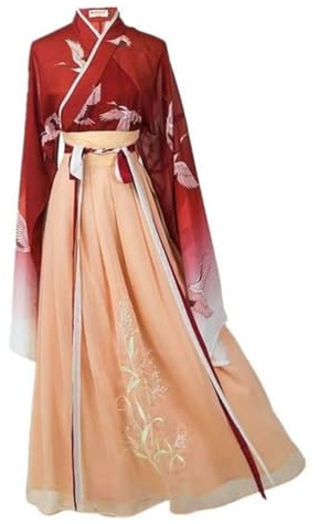 Xinchangda Xingchangda Robe Hanfu traditionnelle chinoise antique pour femme Jupe longue pour le quotidien, costume de scène et de cosplay, Type 1, 40