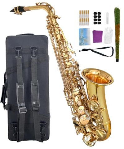 WUQIMUSC Saxophone alto débutant pour adultes et étudiants, saxophone Eb professionnel en laiton, étui, embouchure, anches, gants, chiffon de nettoyage et brosse (doré)