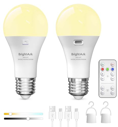 BrightArk Rechargeable Light Bulbs E26 with Remote, 3 Colors USB Rechargeable Bulb LED with Timing Function Battery Operated Light for Outdoor Emergency Light (2-Pack)