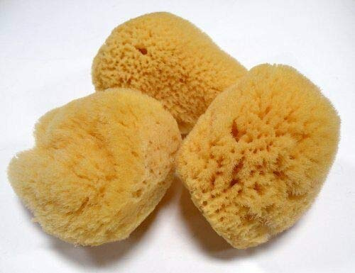 Value Pack of 3 Natural Brown Silk Greek Sea baby Sponges