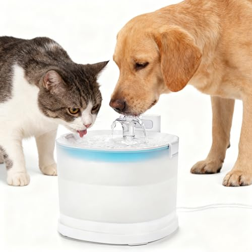 Katzenbrunnen 2L mit MagDrive™ Tech (Pumpenlos), Extrem Leiser Katzen Trinkbrunnen mit Sensor & 2 Auslaufmodi, BPA-frei, Einfach zu Reinigen – für Katzen und Kleintiere