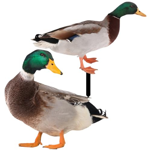 Happyyami 2pcs Garden Duck Animal Sculpture Stakes Realistic Lifelike Acrylic Poultry Statue for Yard Garden Lawn Outdoor Decor