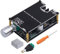 Modulo amplificatore audio wireless – scheda amplificatore altoparlante mono da 100 W – Subwoofer portatile audio per auto studio audio dal