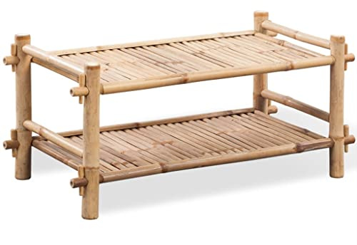 Teenpull Bambus Schuhregal für Eingangsbereich, 2 Ablagen, 80x35x36 cm, leichtes Schuhregal für bis zu 4 Paar Schuhe, natürlicher Holz-Organizer