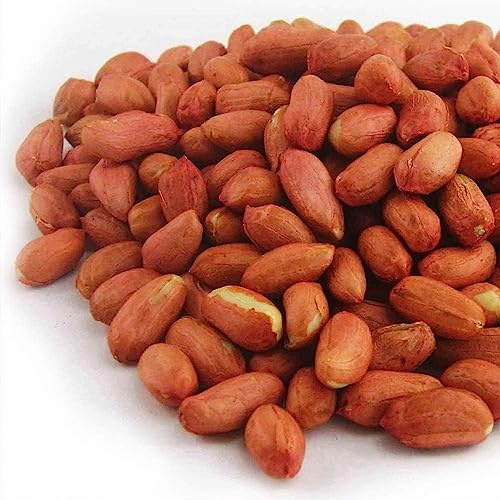 GardenersDream Ganze Erdnüsse - Frisches Premium-Wildvogelfutter, Nussfutter für Gartenvögel (25kg)