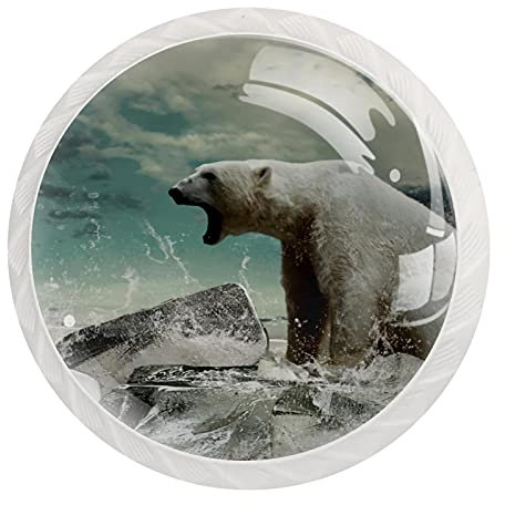 Polar Bear - Set di 12 pomelli rotondi per cassettiera, con motivo orso polare, con viti, per armadietto, decorazione per casa, ufficio