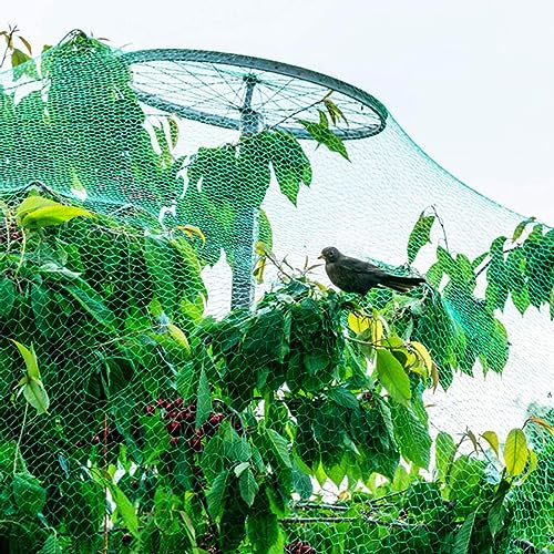 PanHuiWen Filet de Protection pour Arbres Fruitiers Filet Jardin pour Chat Arbre Fruitier pour Arbres de Plantes Clôtures de Protection,1x10m