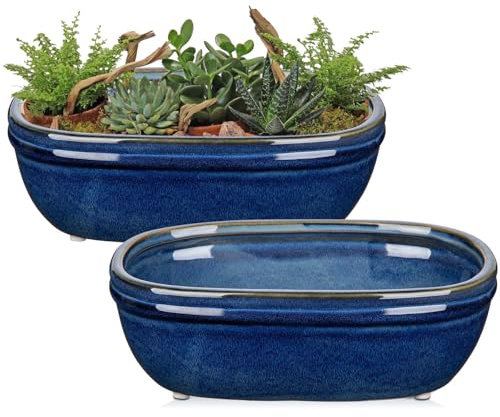 Oairse Set of 2 Bonsai Pots Shallow Succulent Planters for Live Bonsai Trees, 23cm/9.5 Ceramic Plant Pot for Succulents Indoor, Outdoor Cactus Plant Pot, Blue Flower Pot