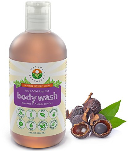 Nature Sustained Organic Body Wash & Face Wash – Raw & Wildcrafted with Probiotics, Soapberry Formula for Eczema & Psoriasis - Wild Plants Selected for Sensitive & Dry Skin, 9oz, Original