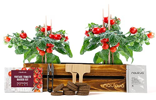 Mini Huerto Urbano Vintage de Tomates Cherry - Semillas Orgánicas de España - Kit Completo para Cultivar Tomates Cherry en Casa.