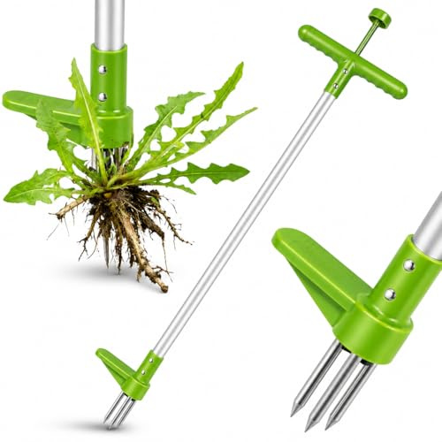 Frilla Spinout - Extractor de malas hierbas con mango