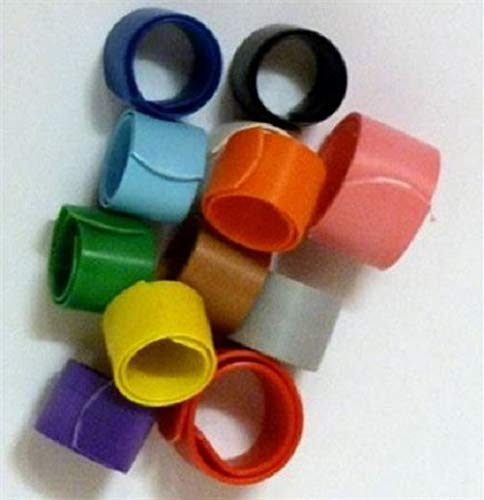 BVT 50 Stück Kükenringe 6 mm Geflügel Wachteln Wachtelringe in 5 Farben a. 10 Stück