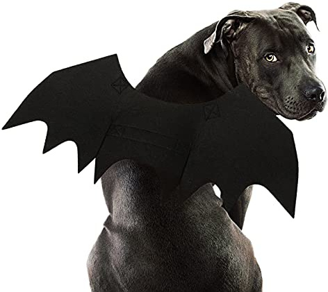 RANYPET Costume da Pipistrello per Cani - Costumi di Halloween per Animali Domestici,Halloween Pet Costume Ali da Pipistrello Cosplay Costume da Cane Costume da Gatto per Festa