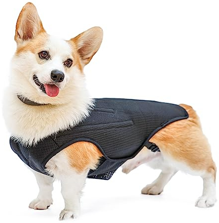 RUIFAR IVDD Rückenbandage für Hunde, flexible Haustier-Dackel-Rückenstützweste, Hunde-Rückenbandage für kleine Haustiere mit Arthritis, Rückenschmerzen, Bandscheibenvorfall, chirurgische Erholung der