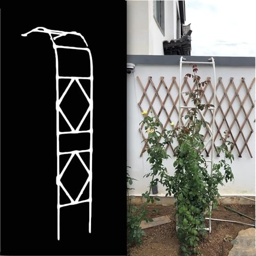 Arche de jardin en métal pour roses – Pergola blanche de 3 m pour plantes grimpantes, treillis intérieur/extérieur, structure de support d'auvent de jardin demi-face