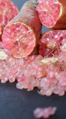 Pianta di Limone Caviale o Finger Lime Rosa in vaso da 20 cm (innesto basso)