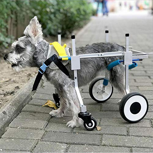 Sobotoo Hunderollstuhl, verstellbar, volle Unterstützung, Haustier-Rollstuhl, 4 Räder, Hundewagen, Vorder- und Hinterbeine, Rehabilitation für behinderte kleine Hunde, Hunde, Welpen, Katzen (XXS)