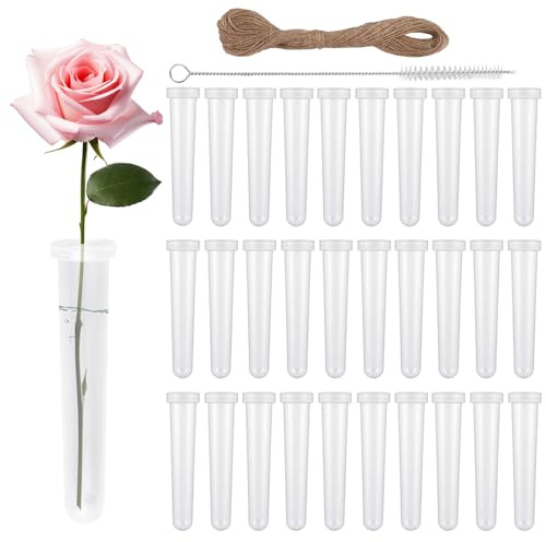 30 Stück Reagenzgläser für Blumen 11cm Blumenröhrchen Kunststoff mit Deckel,Reagenzglas Vase Wiederverwendbare Wasserröhrchen für Blumen,Orchideenröhrchen für Blumenarrangement,Blumenläden,Restaurants