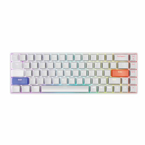 DrunkDeer G65 Rapid Trigger Mechanische Tastatur Magnetschalter ABS Tastenkappe OEM Gaming Tastatur TKL RGB Kompakt 65% Größe Verkabelt, Weiß