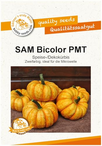SAM Bicolor PMT Kürbissamen von Bobby-Seeds Portion
