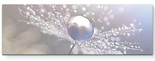 Eau Zone Wandbild auf Leinwand 150x50cm Pusteblume mit Wassertropfen