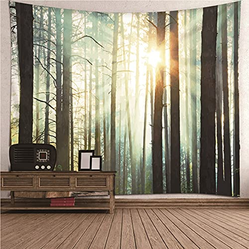 BCughia Wand Tuch, Wandtuch Aesthetic Braun Polyester Wald und Sonnenuntergang Wandteppich 150x150cm (59 x 59) Deko Wand Geschenk