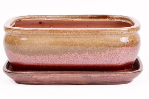 Bonsai-Shopping Bonsai - Schale eckig 26 x 21 x 10 cm, beige/Kupfer, mit Untersetzer 31133