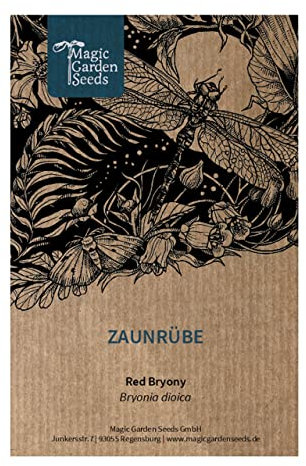 Nabo del diablo (Bryonia dioica) - aprox. 10 semillas