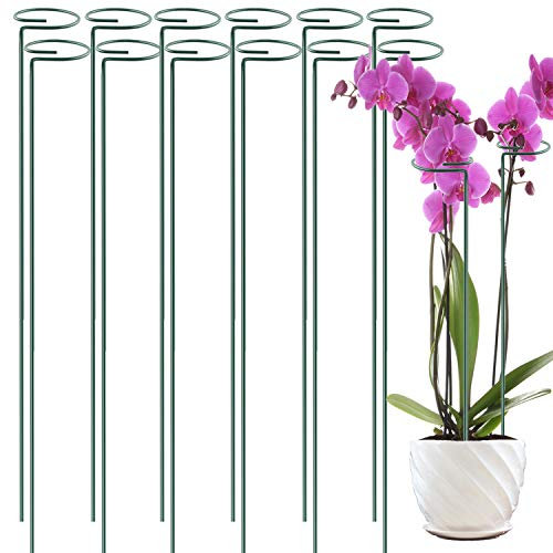 Lot de 12 piquets de Support pour Plantes de 91,4 cm, Tige Unique pour Plante de Jardin, Support de Fleurs en Acier, Anneau de Support pour orchidée, glaïeul, Iris, Dahlia, Amaryllis, Rose lys