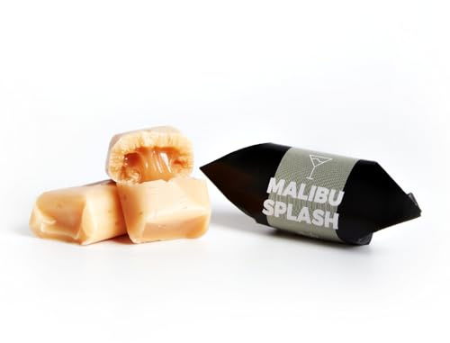 Mr Fudgesto Fudge Tradizionale - Gusto Coconut Splash 250 g