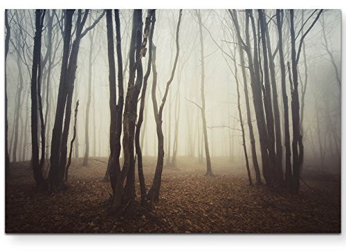 Paul Sinus Art Leinwandbilder | Bilder Leinwand 120x80cm Wald im Nebel