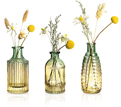 Joeyan 3er Set Vintage Kleine Glasvasen für tischdeko - Farbverlauf Desktop Blumenvase - Geprägte Knospenvase,Vase für Einzelne Rose für Hochzeiten, Party, Events Dekorieren Arrangements
