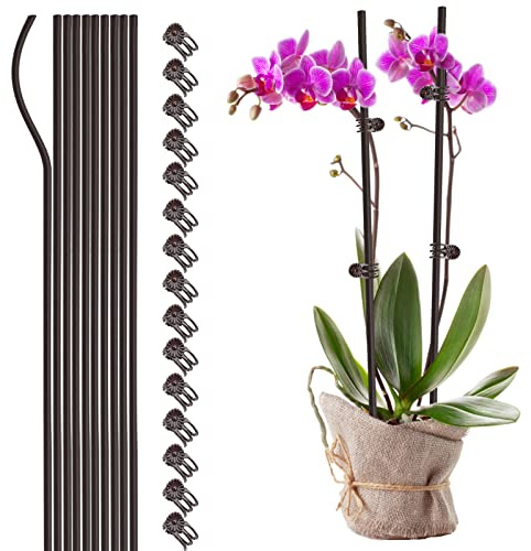 NLDGR Pflanzenstützstäbe mit 15 Pflanzenclips, 40,6 cm hoch, Einzelstiel-Blumenpfähle, biegbare Pflanzstäbe für Zimmerpflanzen, Orchideen-Clips und Heringe, 10 Stück