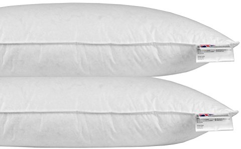 HOMESCAPES Oreiller 40x80 cm Lot de 2, Oreillers en Plumes de Canard et Coton, Hypoallergénique et Anti acarien, Coussin lit Adulte
