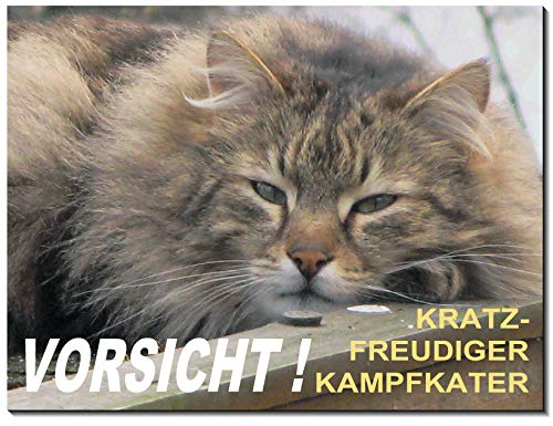 Katze-Katzenschild-Schild-3 Größen-Aluminium Verbund-Kätzchen-Tierschild-Warnschild-Hinweisschild (1450-50 -20 x 15 cm mit Löcher)