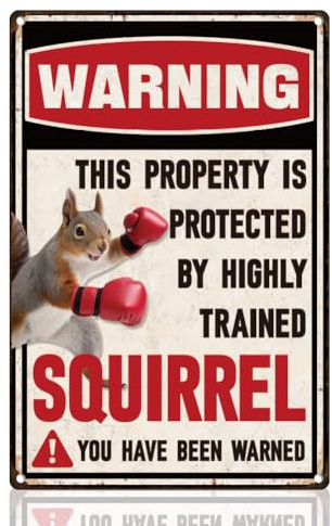 DOODLREAM Funny Squirrel Warning Tin Sign Retro Metal Wall Decor 20 x 30cm Vintage You Have Been Warned Wall Art Poster for Home Cafes Bathroom Garden Gallery Man Cave Office Clubs Decor Gift